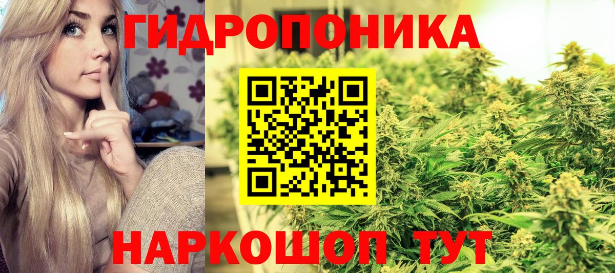 Марихуана Bruce Banner  Шишки марихуана SATIVA & INDICA  Ефремов  Канабис Bruce Banner  Канабис план  Вход с VPN 